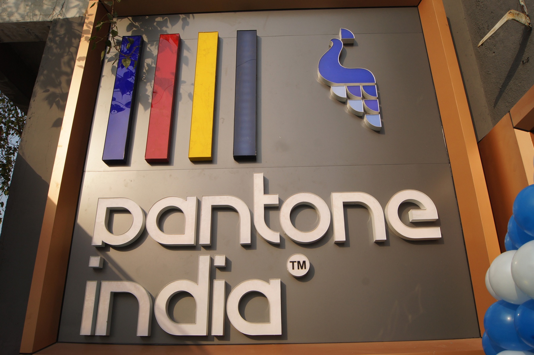 Gallery Pantone India